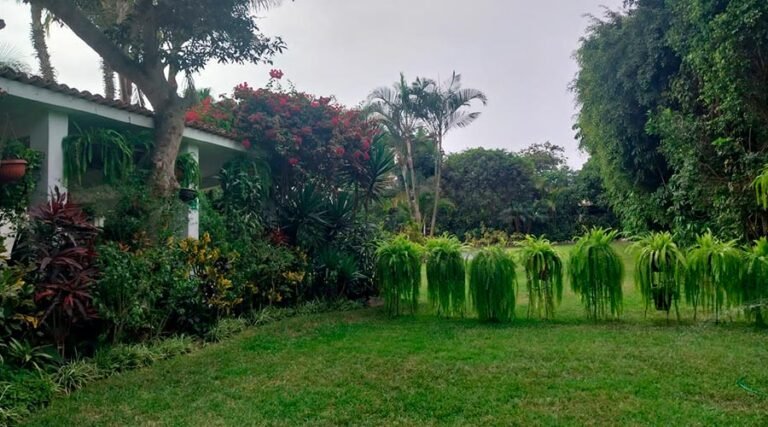 Local-Surco-Casa-Ana